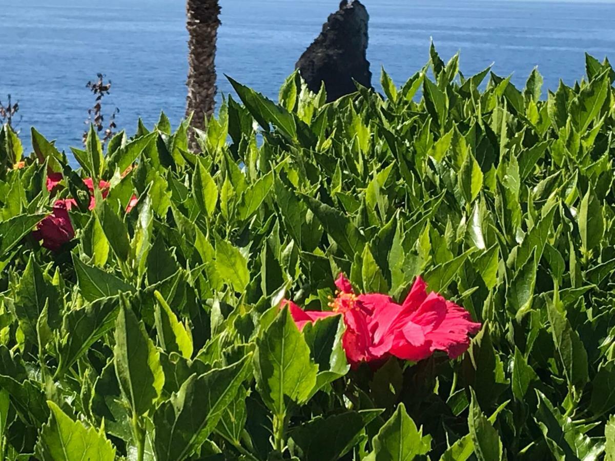 Do Mar Appartement Funchal (Madeira)